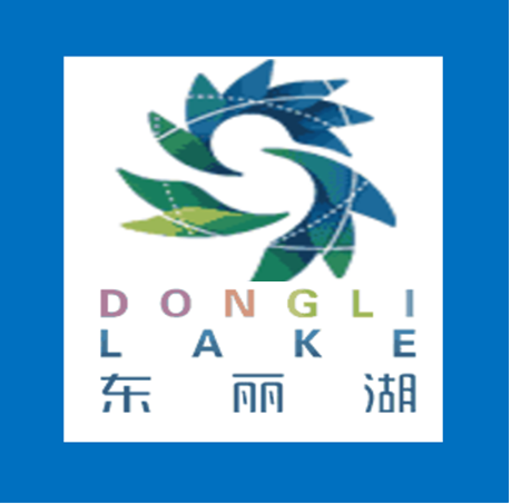 东丽湖能源